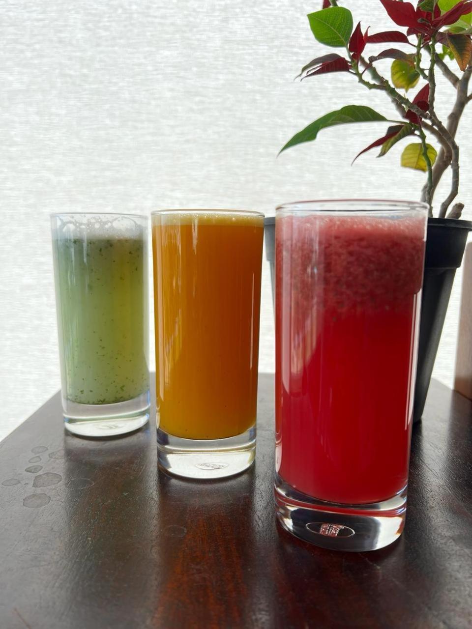 Aura Boutique Hotel Udajpur Zewnętrze zdjęcie
